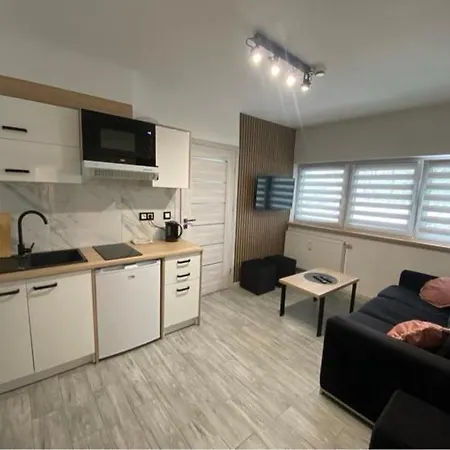 Sara Z Sauna 公寓 *