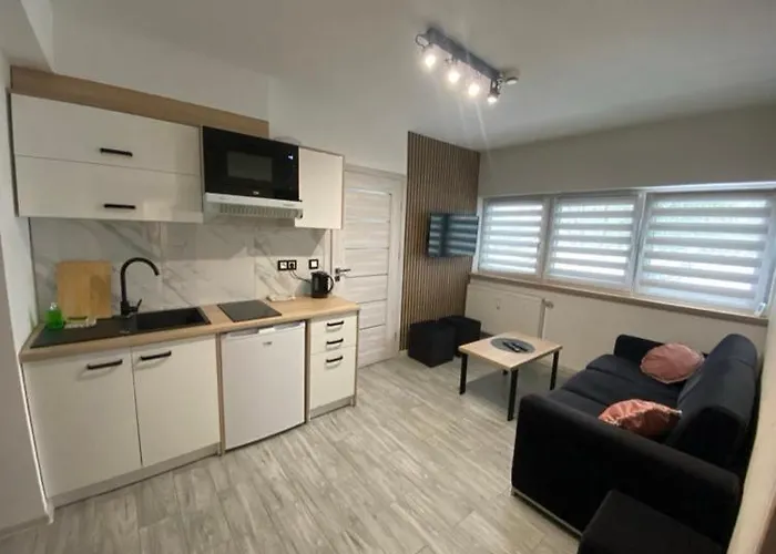 Sara Z Sauna 公寓 *